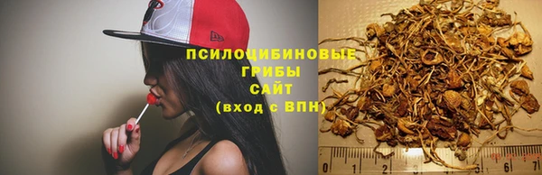 сатива Протвино