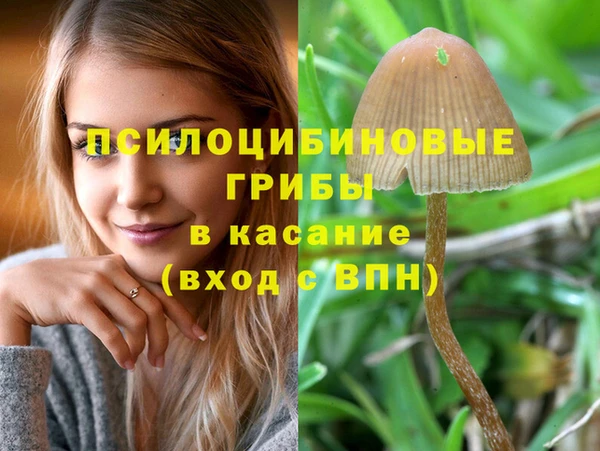 скорость Приозерск