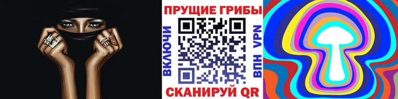 MEGA ТОР  Суоярви  Галлюциногенные грибы Cubensis 